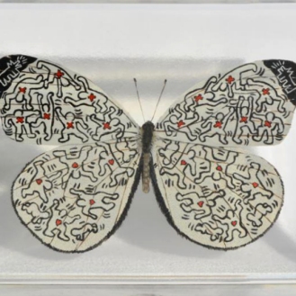 Haring Butterfly